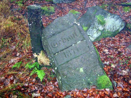 Der Denkstein am Stufenweg / Hohwald