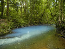 "Los Teñideros" Rio Celeste