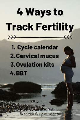 4 Ways to Track Fertility - Pregnant woman standing by mountainside lake