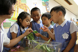 帝塚山学院幼稚園