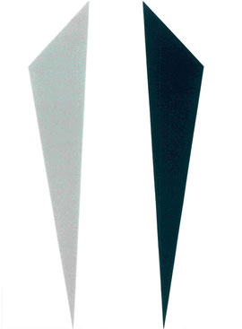 piatto posteriore della copertina con collage