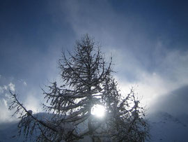Winter-Sonnenwende