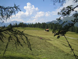 Heuet beim Furgglis