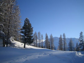 Winterstimmung bei Samedan