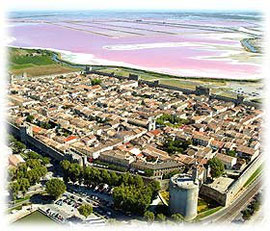 French learning holidays in south of France / Camargue
