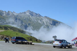 Col du Soulor (1474m) à 10 km de l'Aubisque. Ici, ce sont les moutons qui cherchent l'ombre.