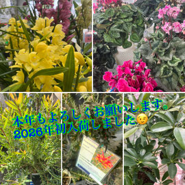 花と緑ガーデンヒデマル*岐阜*各務原*園芸店＆郵便局*