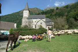 Pose sur une pelouse d'Eygun, à l'abri de la circulation