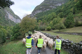 Pastorale sur les pas des Pèlerins de Compostelle