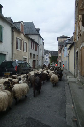 Non loin de l'Eglise Saint-Pierre avec sa tour carrée