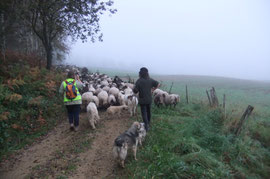 Du haut des coteaux de Goès nous ne verrons ni les Pyrénées, ni les coteaux d'Estialescq, mais serons guidés par les marques du Chemin de Compostelle.