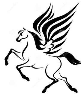 pegasus-dienstleistungen
