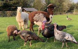 ourfarm