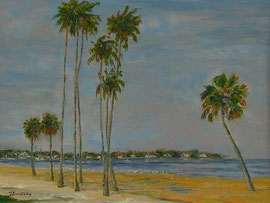 Beach.Saint_Petersburg_Florida