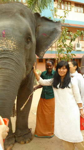 アシュラムで大事にされている象さんと私。