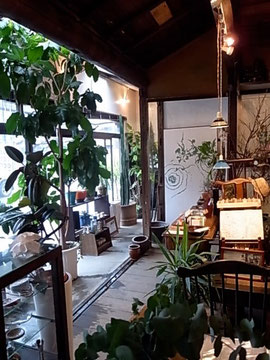 緑豊かでいろんな顔を持つ店内