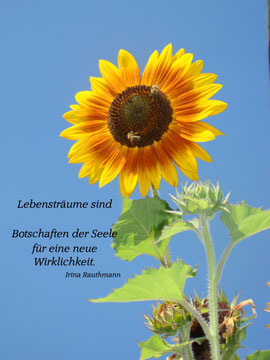 Lebenstraum