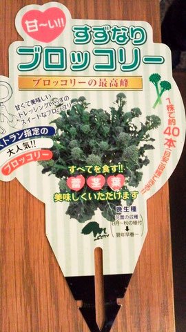成長するとこんな感じになります♪