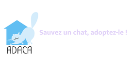 Site de l'adaca (association des amis des chats abandonnés)