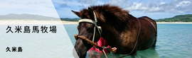久米島馬牧場