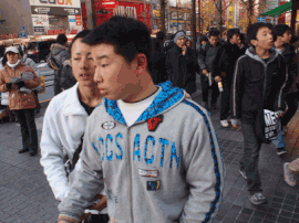 秋葉原 順光