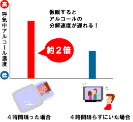 仮眠とアルコールの分解速度