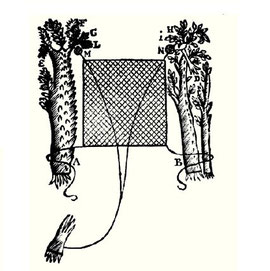 A flat net across a cock road. Illustration from Richard Blome 1686 'The Gentlemans Recreation'