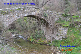 Pont génois (Feliceto)