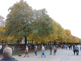 HHerbststimmung im Hofgarten