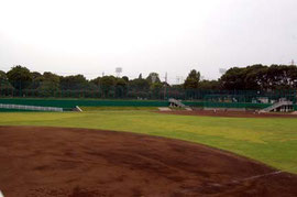 和田堀公園野球場