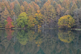 御射鹿池紅葉　2015年10月15日