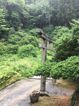 梅雨入り