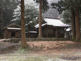 初雪