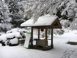 12月16日の雪景色