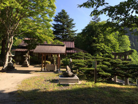 6月1日 朝の境内