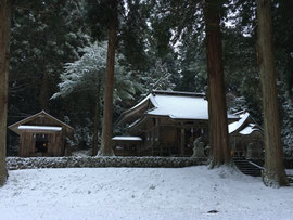 望まぬ雪景色