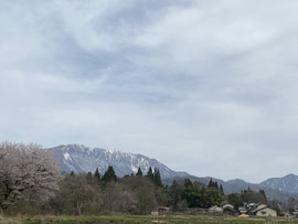残雪の霊峰大山を西成から望む