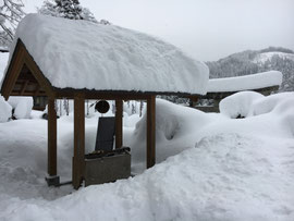 大雪の境内