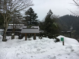 朝の境内