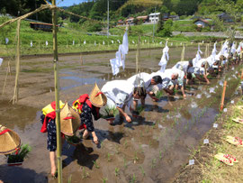 田植え式