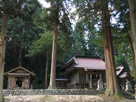 朝の社殿群