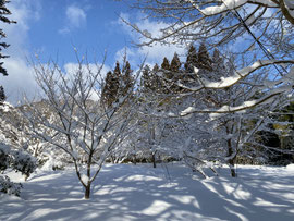 雪景色