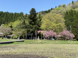 国道より多里神社を望む