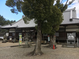 大樹寺