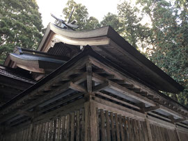 頌春