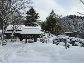 2月1日　朝の境内