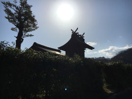 袋原神社 本殿