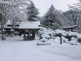 朝の境内