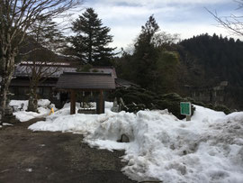 朝の境内