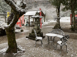 初雪の境内